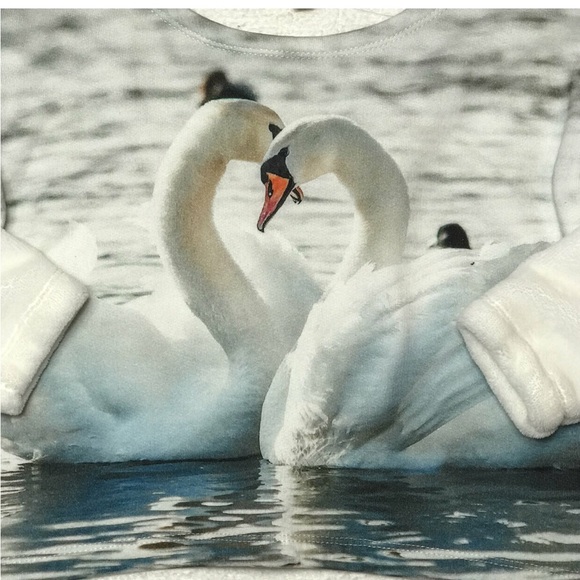 🆕 Popupshop Velour Sleeve Swan Sweatshirt - Picture 2 of 2